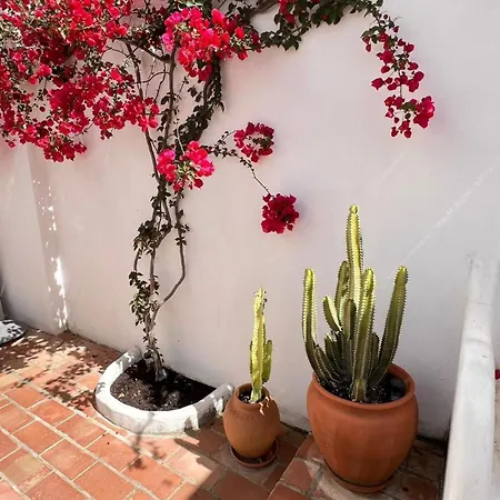 Casa Ana Charming 2br In Apartmán *
