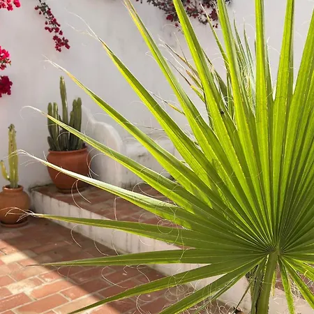 Casa Ana Charming 2br In *